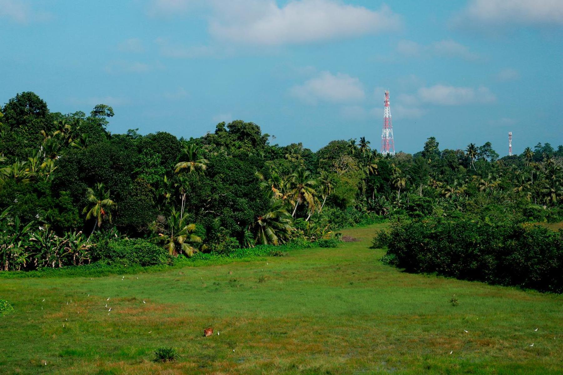 Green Edge Villa Hikkaduwa Exterior photo